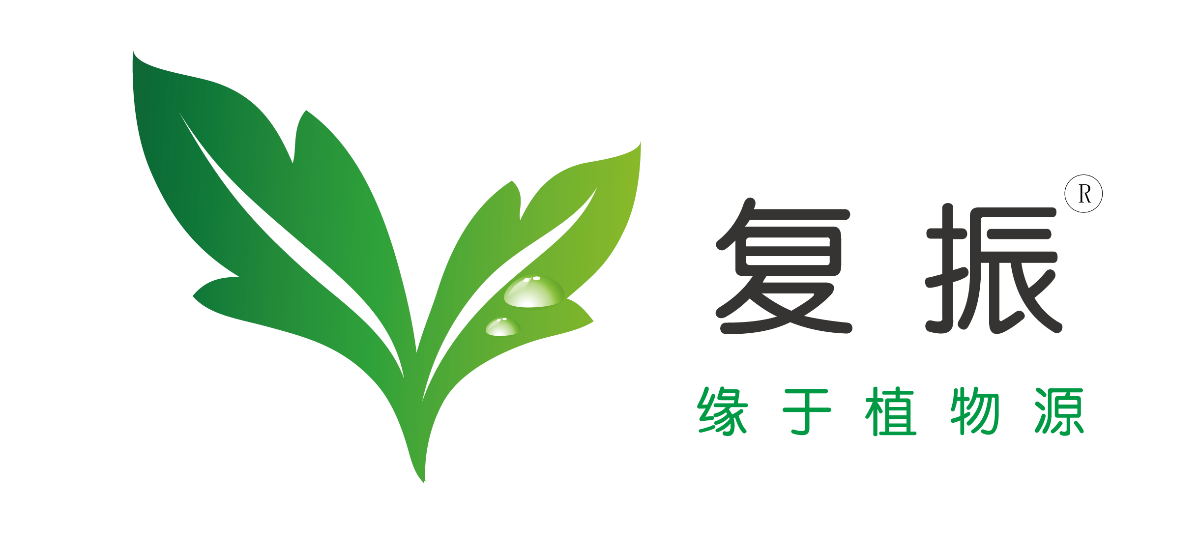 复振logo.png